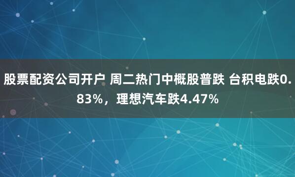 股票配资公司开户 周二热门中概股普跌 台积电跌0.83%，理想汽车跌4.47%